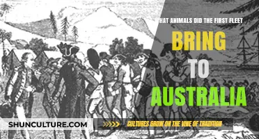 First Fleet's Cargo: Animals Introduced to Australia in 1788