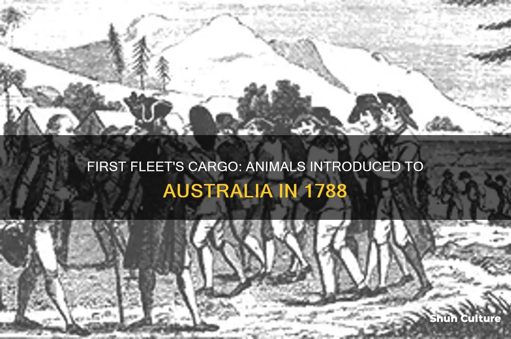 what animals did the first fleet bring to australia