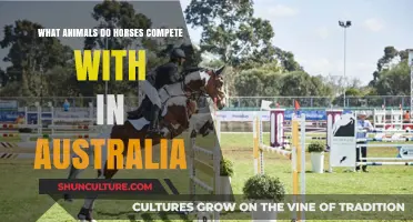 Horses' Unlikely Rivals: Australia's Unique Animal Competitors