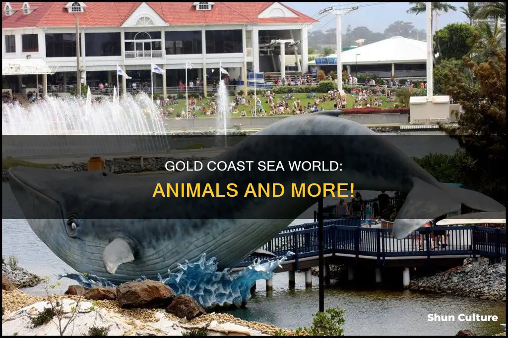what animals does australia