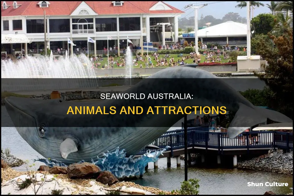 what animals does seaworld australia have