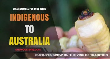 Exploring Australia's Indigenous Food Animals