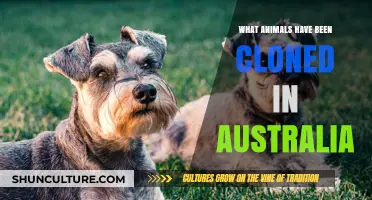 Cloned in Australia: A List of Animals