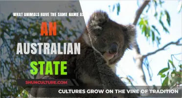 Discover Animals Sharing Names With Australian States