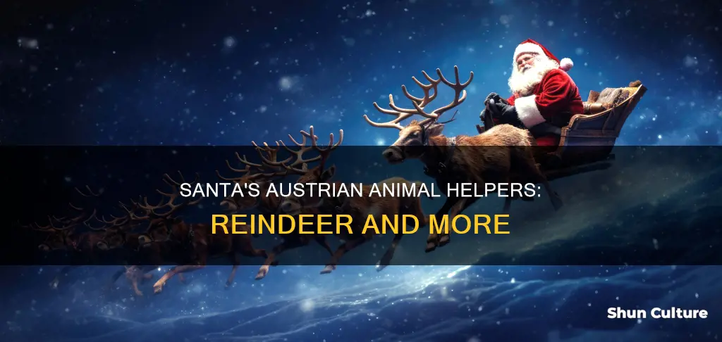 what animals help santa get around in austria