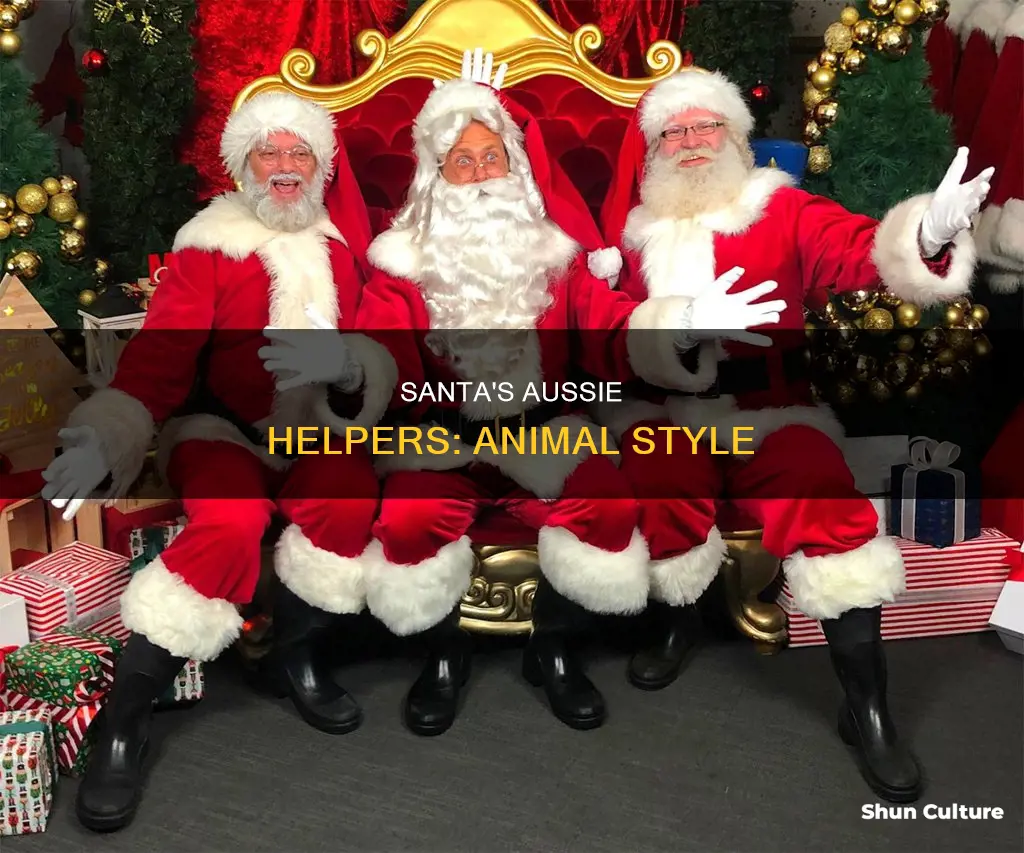 what animals help santa in australia