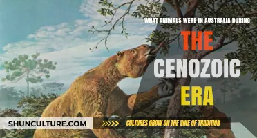 Cenozoic Creatures of Australia: A Wildlife Snapshot