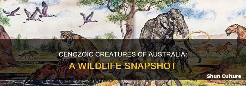 what animals were in australia during the cenozoic era