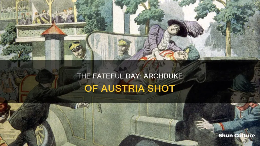 what anniversary of the archduke of austria shot