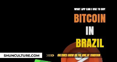 Top Bitcoin Buying Apps for Brazilians: Secure and Easy Options