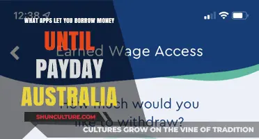 Best Instant Cash Advance Apps in Australia