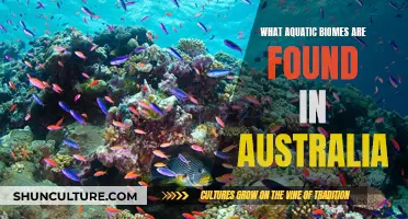 Aquatic Australia: Exploring Unique Watery Biomes