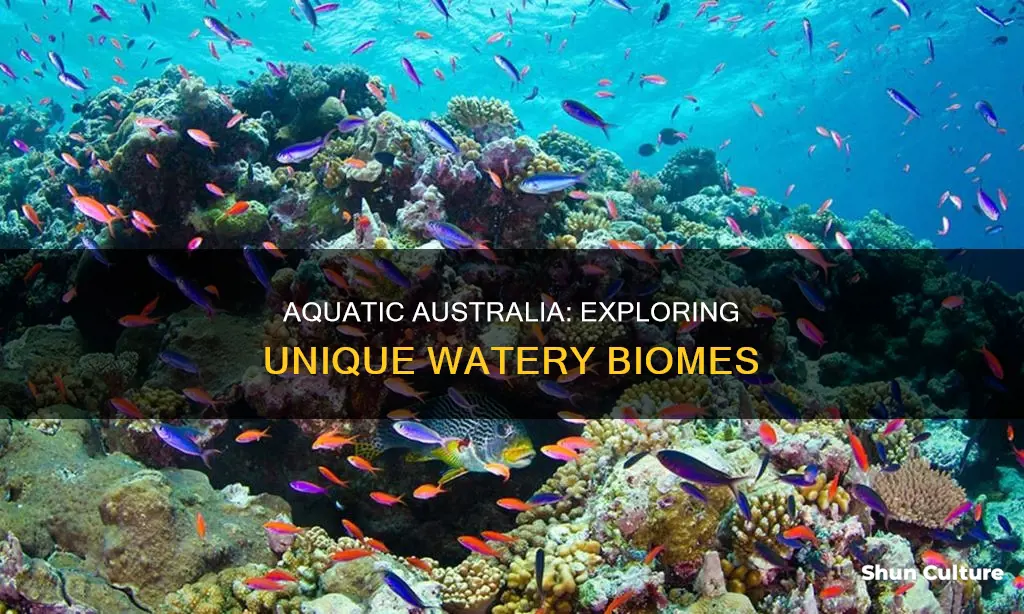 what aquatic biomes are found in australia