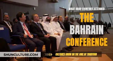 Arab Nations Present at the Bahrain Conference