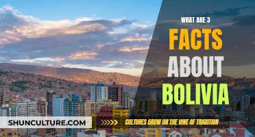 Exploring Bolivia: 3 Intriguing Facts About This Country