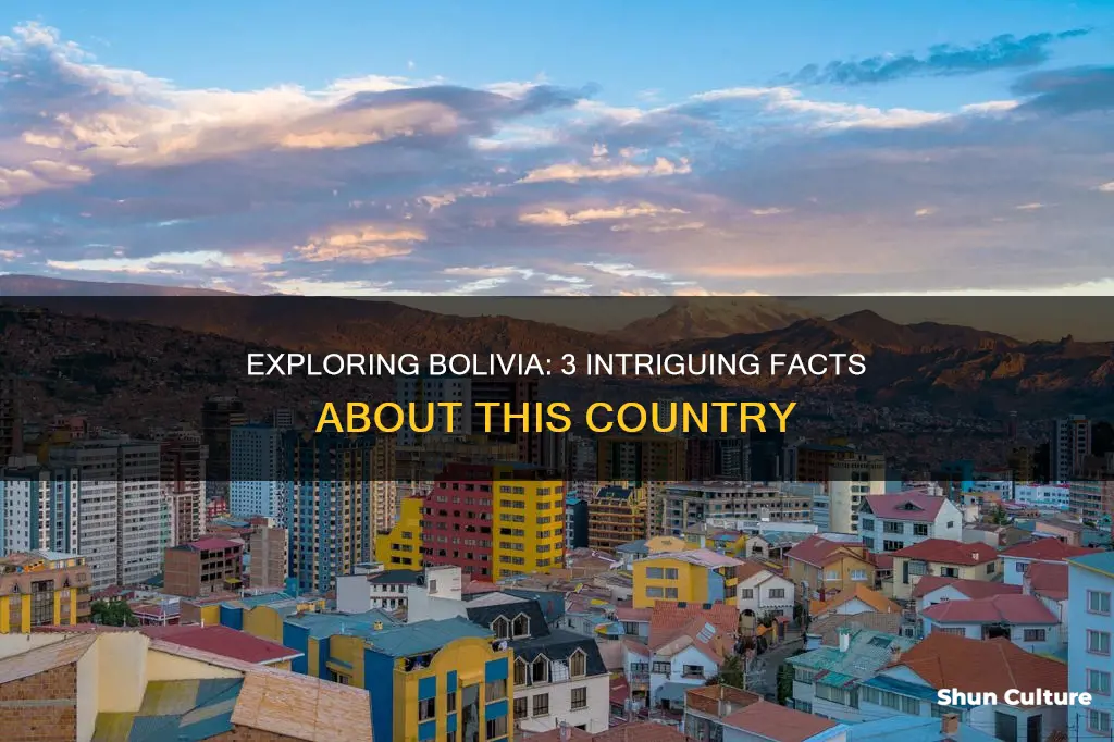 what are 3 facts about bolivia