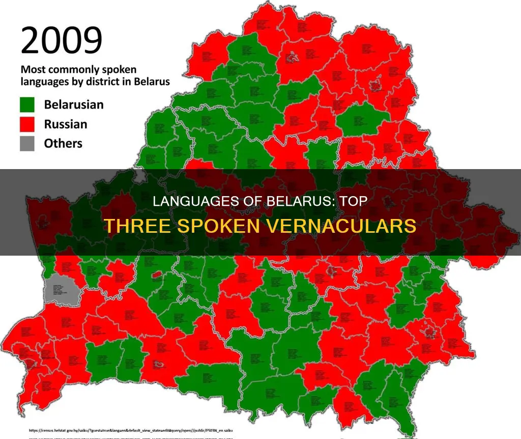 what are 3 most common languages spoken in belarus