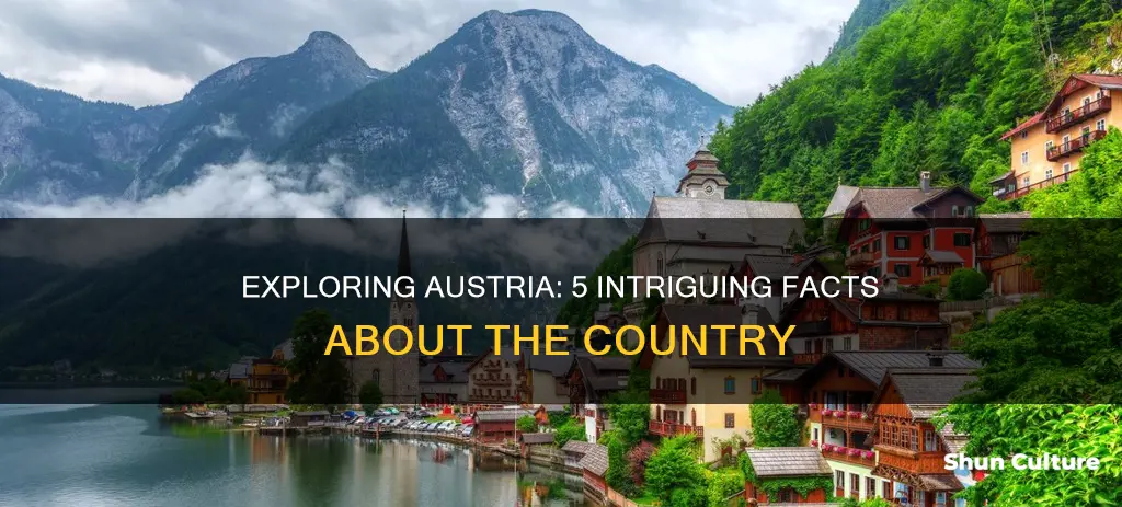 what are 5 interesting facts about austria