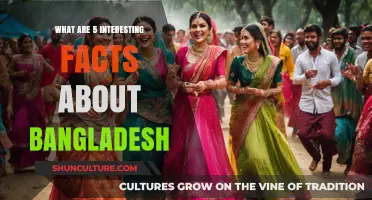 Discovering Bangladesh: 5 Fascinating Facts About This Vibrant Nation