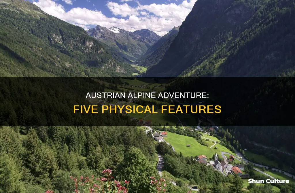 what are 5 physical features of austria