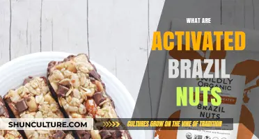 Activated Brazil Nuts: Unlocking Nutrient-Rich Benefits and Preparation Methods