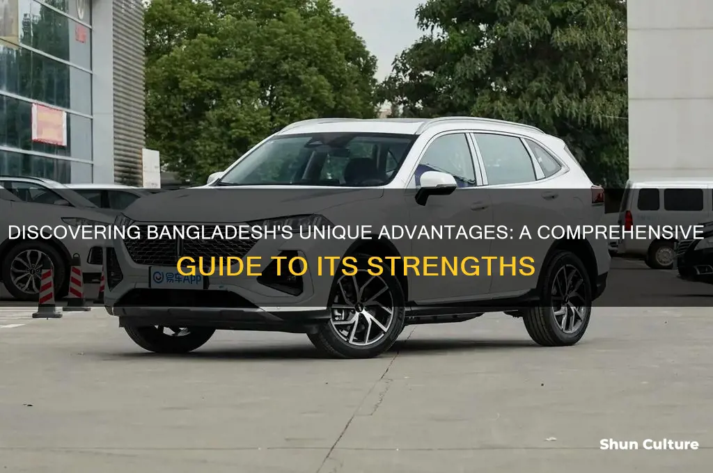 what are advantages of bangladesh