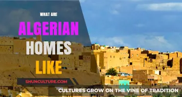Exploring Traditional Algerian Homes: Architecture, Design, and Cultural Influences
