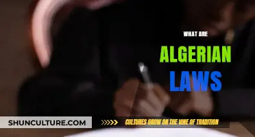 Understanding Algerian Laws: A Comprehensive Guide to Legal Frameworks