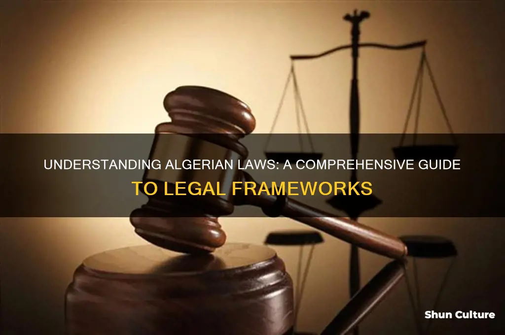 what are algerian laws