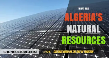 Algeria's Natural Resources: Exploring the Country's Wealth and Potential