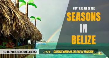 Belize's Seasons: A Tropical Adventure Through the Year