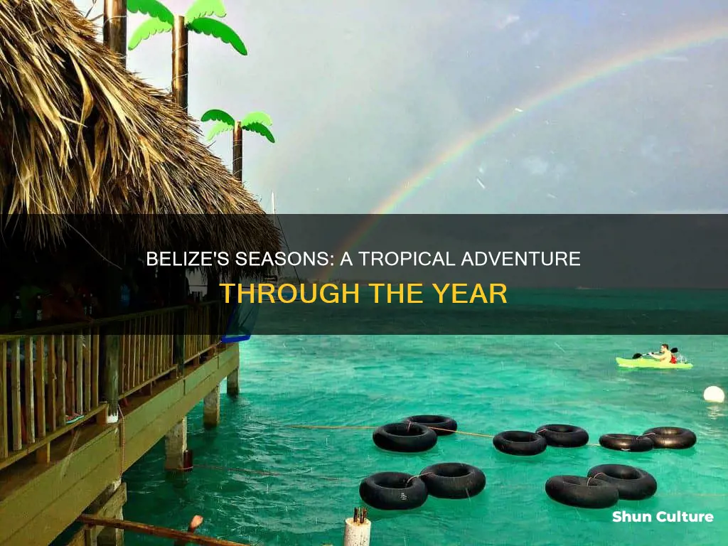 what are all of the seasons in belize