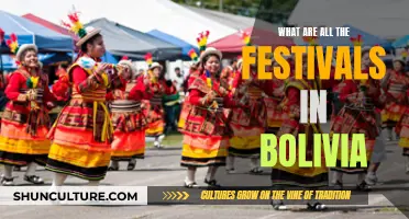 Festivals of Bolivia: A Cultural Extravaganza