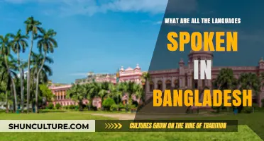 Exploring the Rich Linguistic Diversity of Bangladesh's Spoken Languages