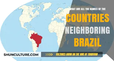 Discover Brazil's Bordering Nations: A Complete List of Neighboring Countries