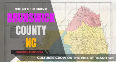 Brunswick County's Towns