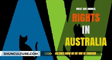 Animal Rights in Australia: Current Status and Future