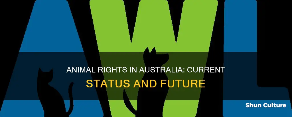 what are animal rights in australia