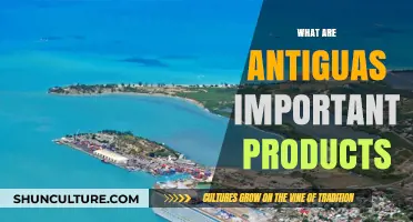 Discover Antigua's Key Exports: Essential Products Driving the Economy