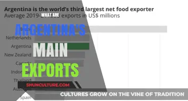 Exploring Argentina's Economic Pillars: A Guide to Its Main Exports