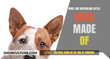 Australian Cattle Dogs: Their Unique Breed Composition
