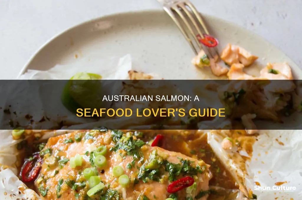 what are australian salmon like to eat