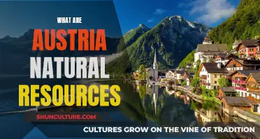 Austria's Natural Wealth: Exploring the Country's Resources