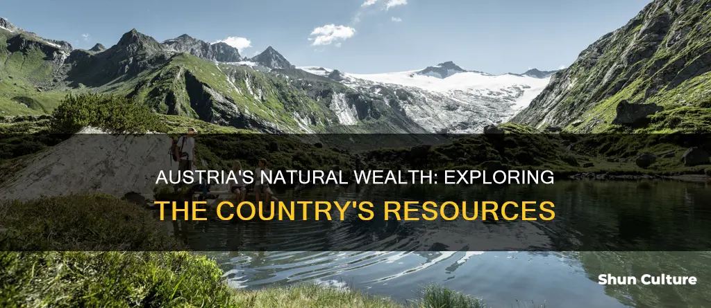 what are austria natural resources