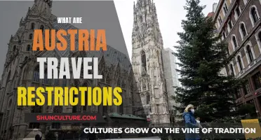 Travel Restrictions: Austria's Current Entry Requirements