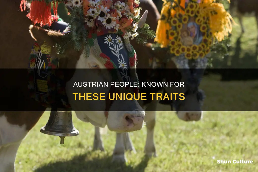 what are austrian people known for