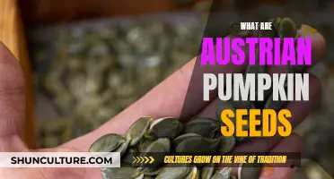 Pumpkin Seeds: Austria's Healthy, Tasty Superfood