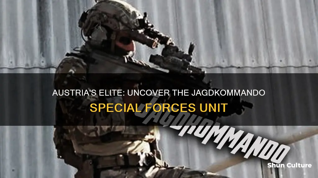 what are austrian special forces called