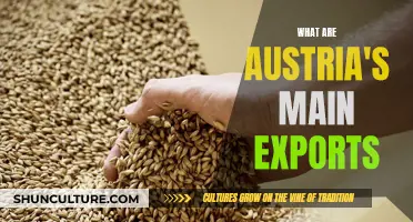 Austria's Top Exports and Their Global Impact