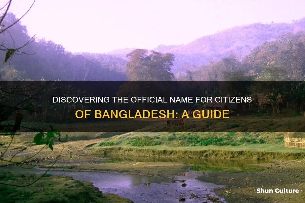 what are bangladesh citizens called